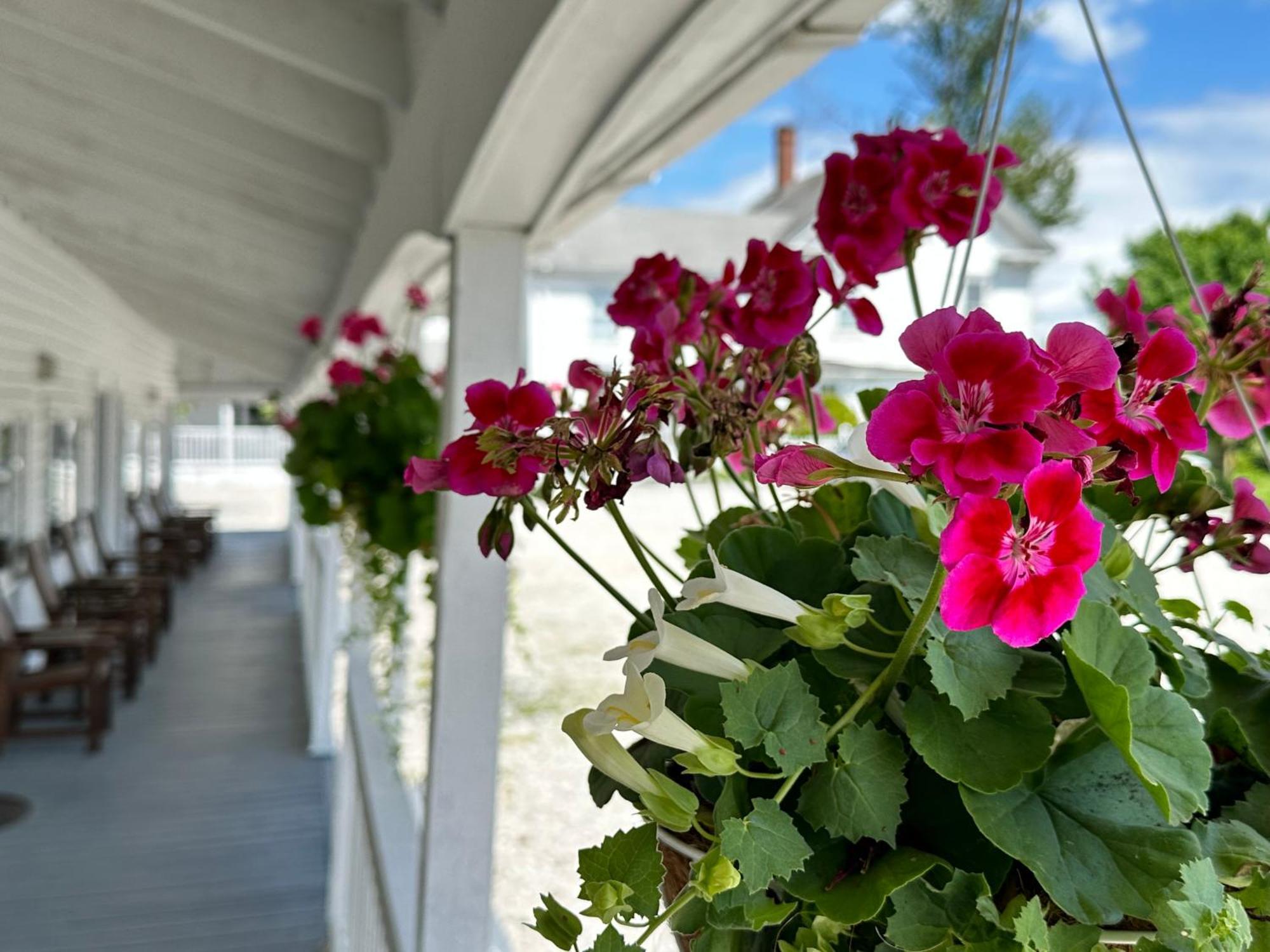 Yardarm Motel Searsport Dış mekan fotoğraf